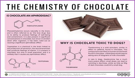 What is the chemistry of chocolate?